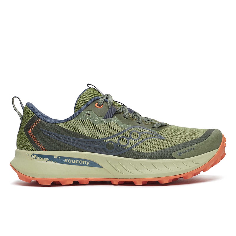 Saucony Women’s Peregrine 15 GTX Hemlock/Dust-162 6.5