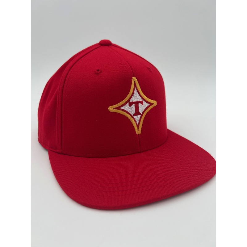 Thomasville Bulldog Flat Bill Snapback Hat Embroidered