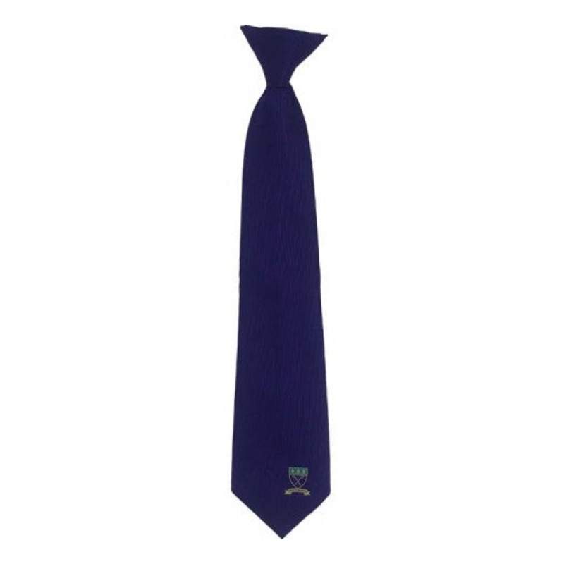 Bishop Of Llandaff High School 6th Form Tie 16 Purple