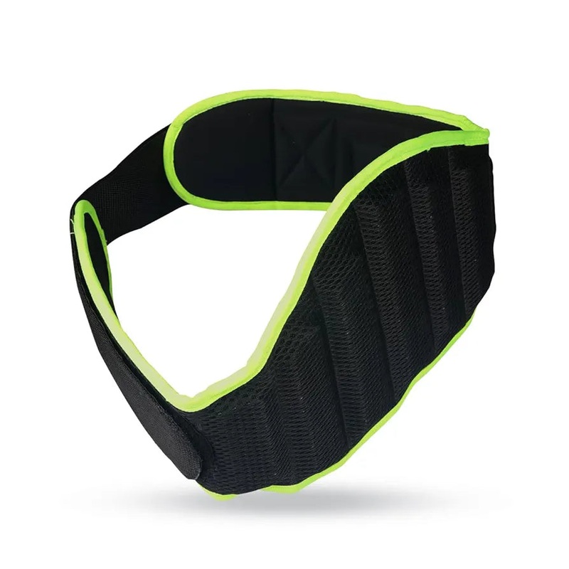 Cougar Beast Weight Lifting Belt/Gym belt | Kibi Sports