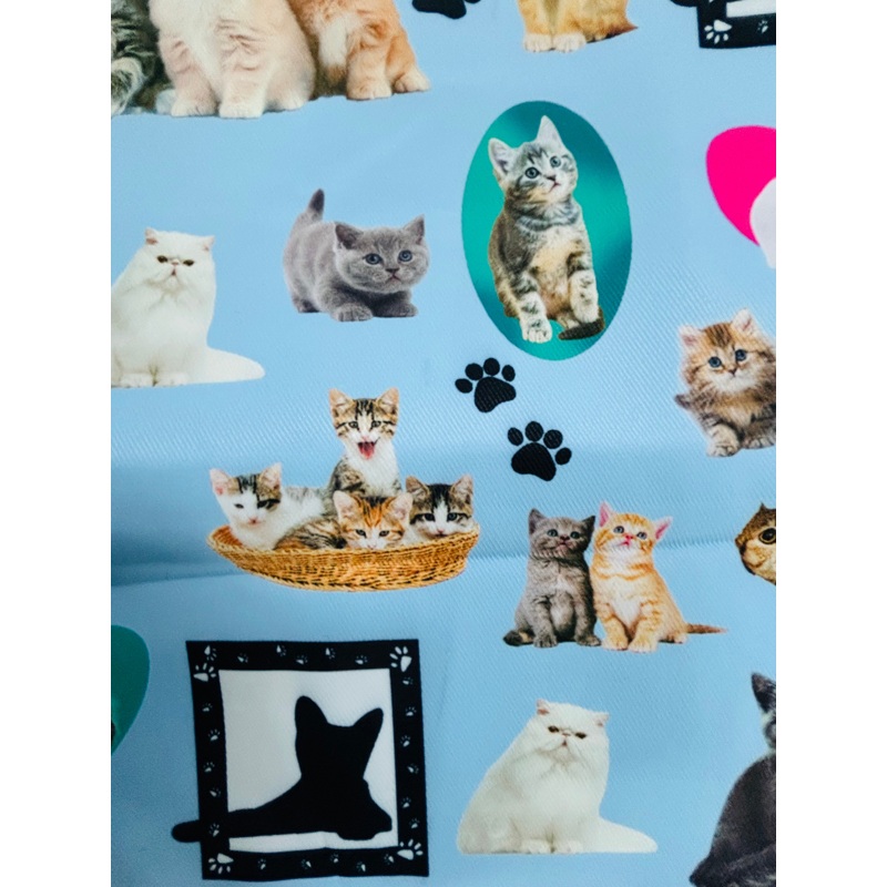 Handmade Water Resistant shoes bag (Kitten Photos 475) Kitten Photos 475