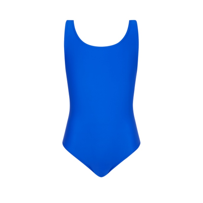 Radyr Comprehensive School Swimwear Royal 24 ROYAL