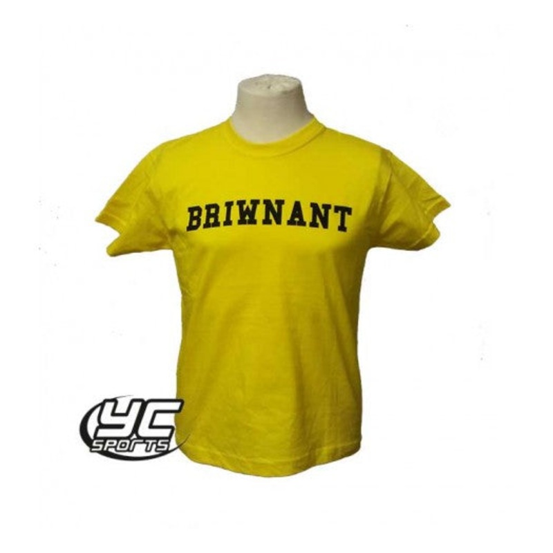 Rhiwbeina Primary School PE T Shirt Yellow 3/4 YELLOW