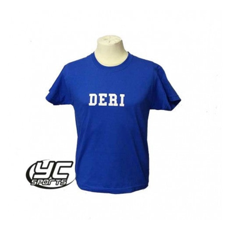 Rhiwbeina Primary School PE T Shirt Royal 3/4 ROYAL