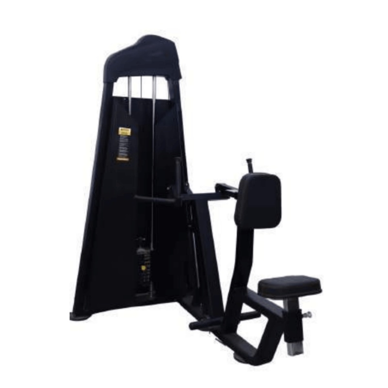 Vicky Vertical Rowing (Series 2) | KIBI Sports