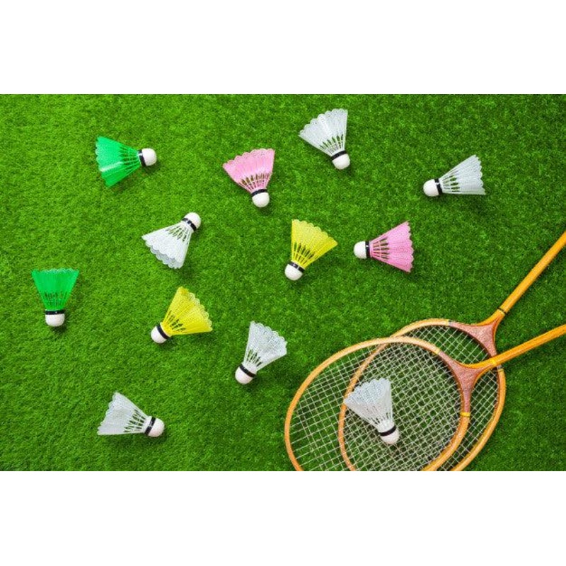 R-max Bingo Badminton Shuttle Cock | KIBI Sports