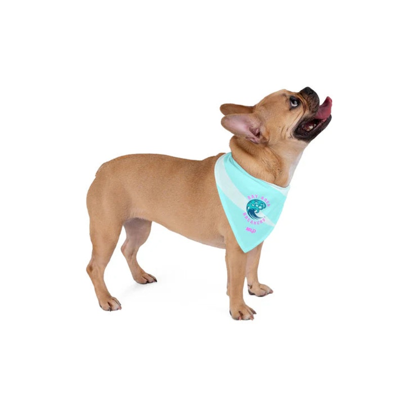 BAY AREA BREAKERS TURQUOISE PET BANDANA