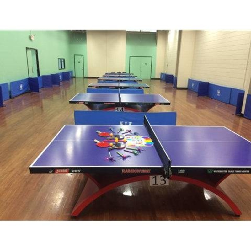Birthday Party –  Table Tennis Fun, Competition and Learning